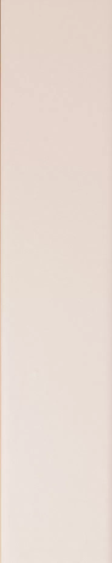 Плитка 4100723 Rose Matte 5x25