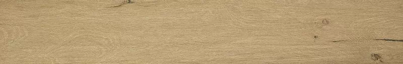 Керамогранит fPVZ ROOTS HONEY MATT R9 20х120