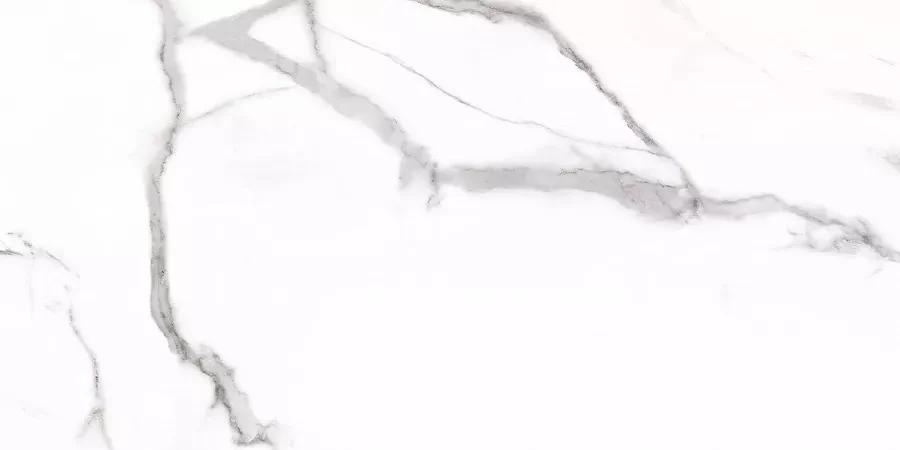 Керамогранит Carrara Rect матовая 60x120