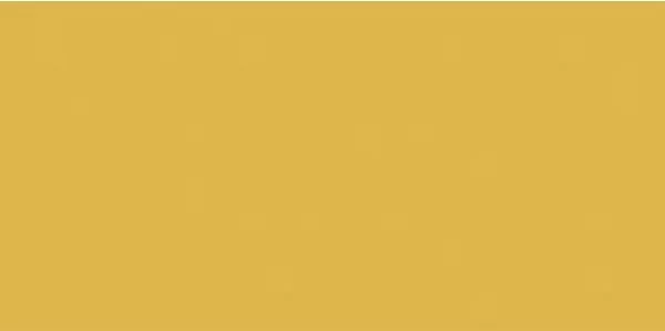 Плитка GAAD8142 Color Two 10*20