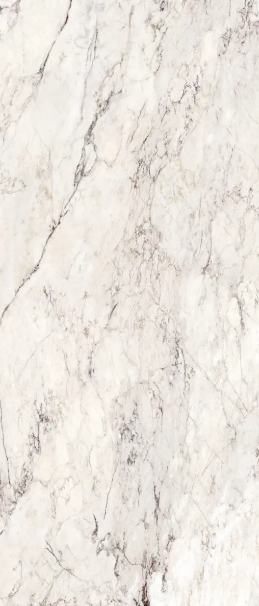 Керамогранит 274001 Breccia Capraia Nat Ret 120x280