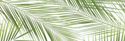Плитка Панно Brennero Tropic (2) 50x75