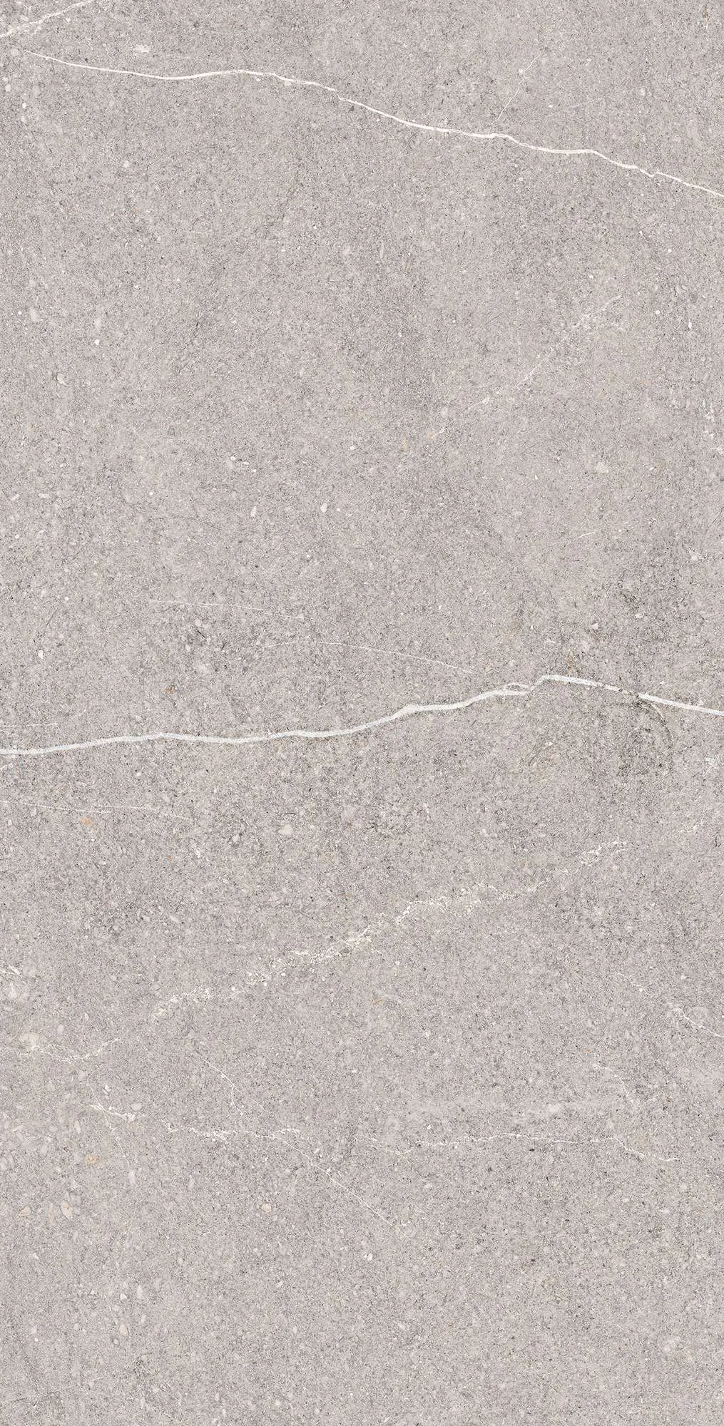 Керамогранит RG6001-A Equistone Gris Rotto Glossy Ink 60x120
