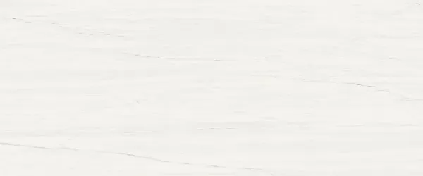 Плитка A4S4 Marvel Bianco Dolomite 50x120