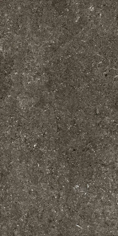 Керамогранит 768625 Sensi Brown Fossil Nat Ret 6mm 60x120