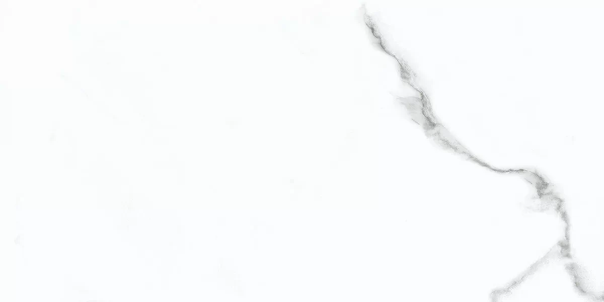 Плитка Calacatta Opaco 31.5x63