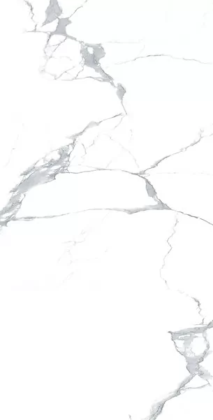 Керамогранит MEGNUS STATURIO Glossy 60x120