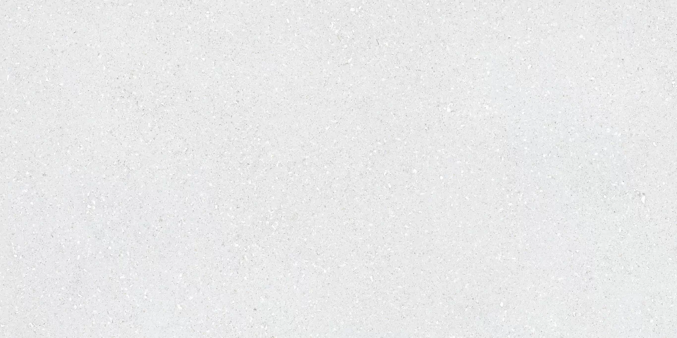 Керамогранит Sassy White Rec 60x120