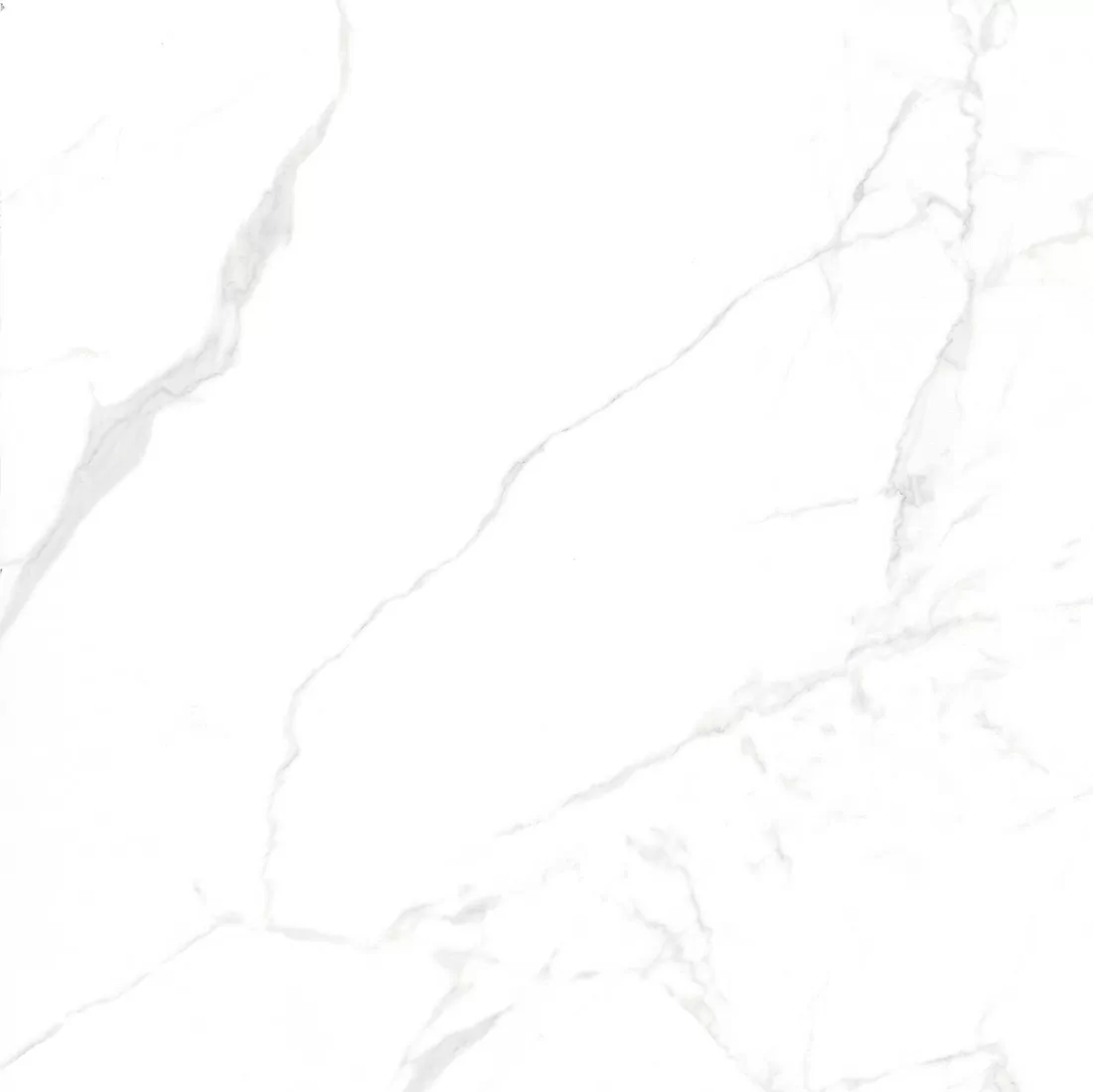 Керамогранит NTT996070M Callacata Carving 60x60