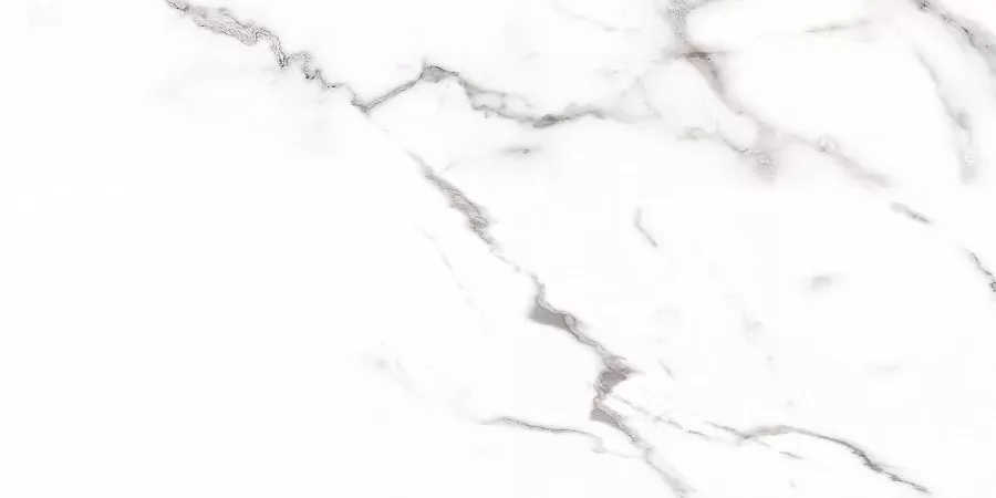 Керамогранит Carrara Rect матовая 60x120
