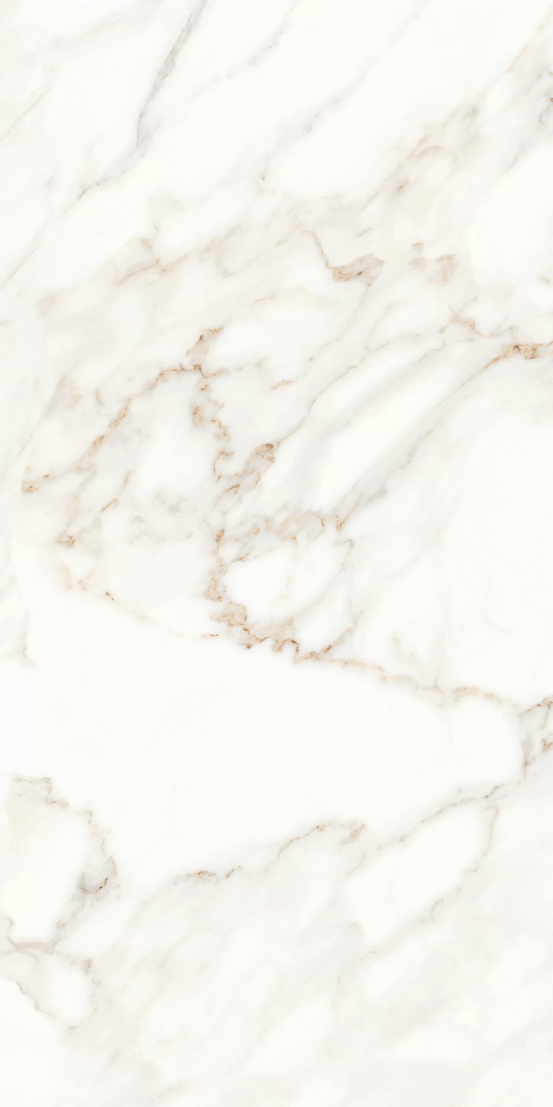 Керамогранит MPL-058622 Calacatta Satin 60x120
