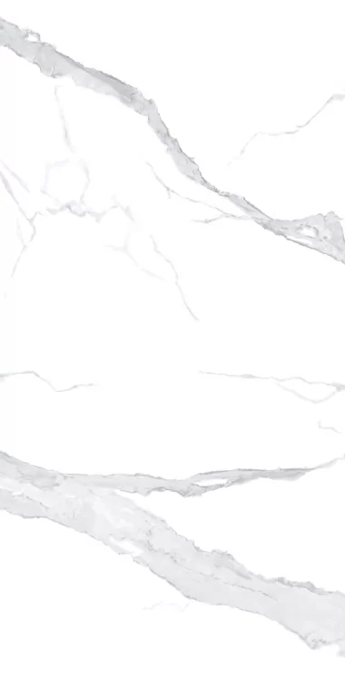 Керамогранит NTT3008P Bianco Statuario 120x240