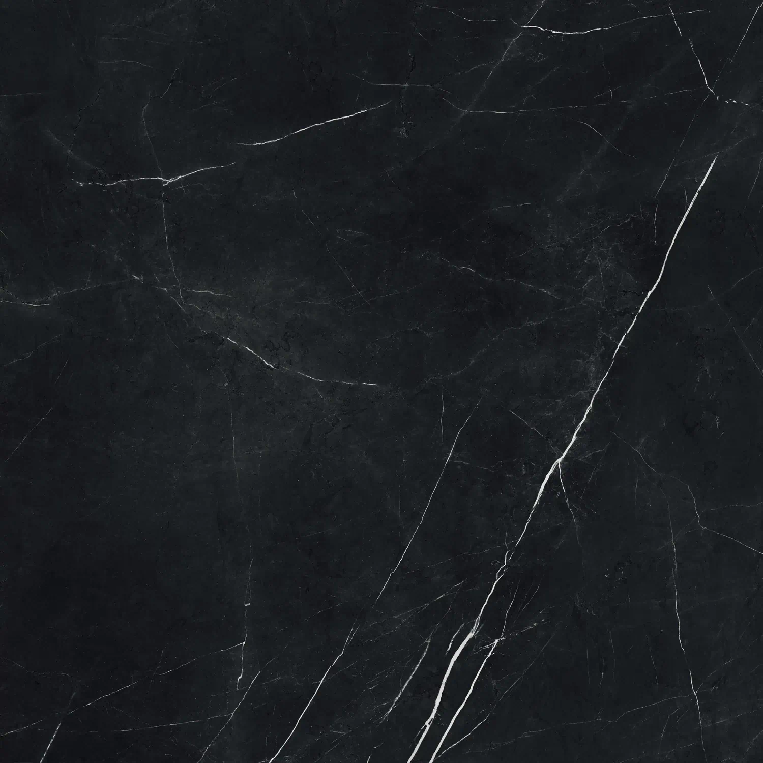 Керамогранит 610010002720 Forte dei Marmi Elegant Black Rett 80x80