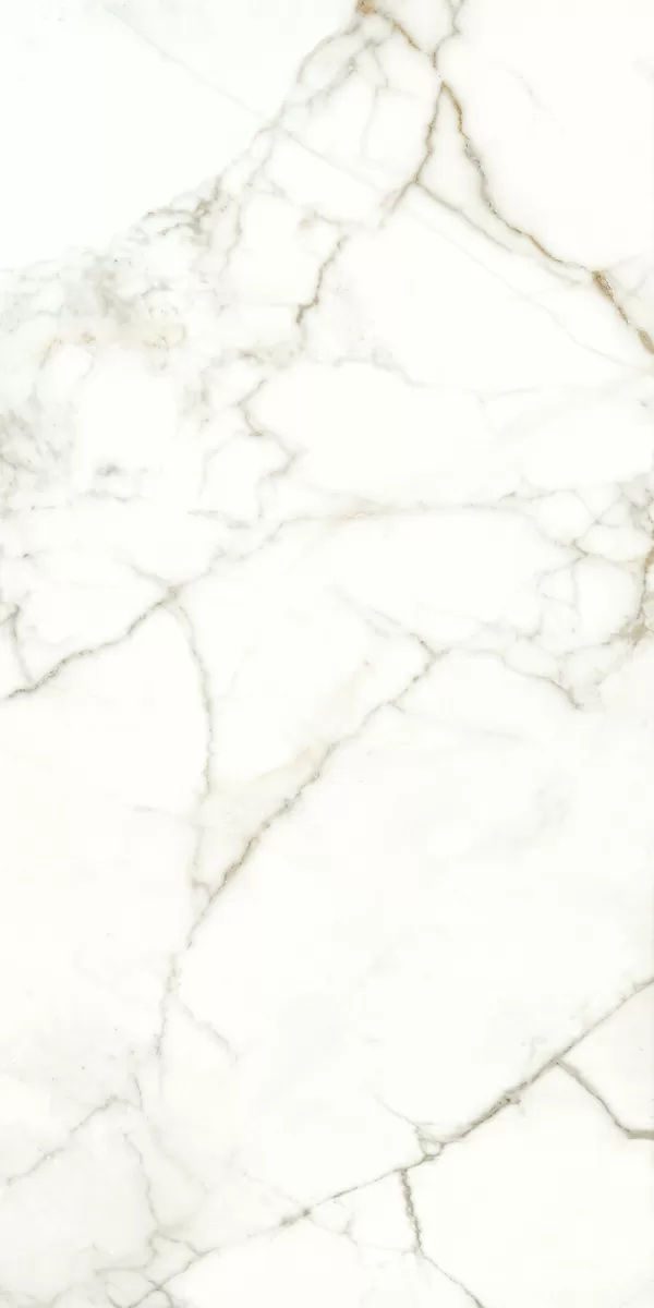 Керамогранит 117782 Emotion Levigato Rettificato 60x120