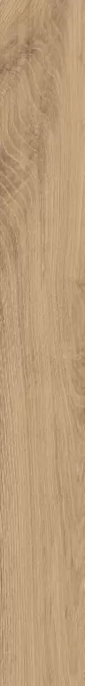 Керамогранит AV02 Alavesa Rusty Beige Неполированный Рект. 19,4x160x11