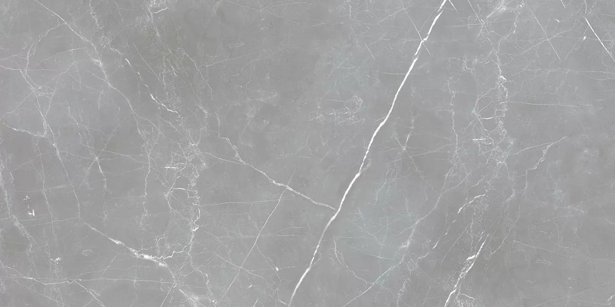 Керамогранит Arion Gray Dark 59.7х119.7