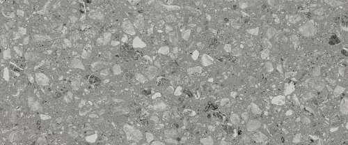 Плитка 010100001544 Terrazzo grey 01 25х60