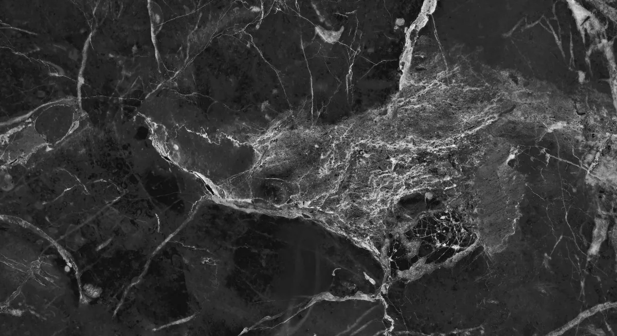 Керамогранит NR005 Dalim Black 60x30