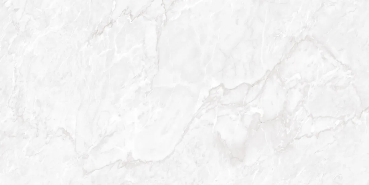 Керамогранит N20481 Carrara Pearl Polished 60x120