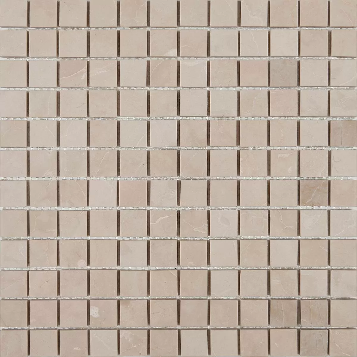 Мозаика STN6238P (23*23) 300*300*8