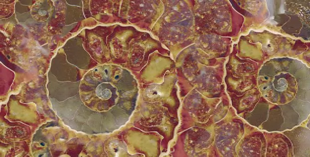 Керамогранит FM3366 Fossil Mix 33х66