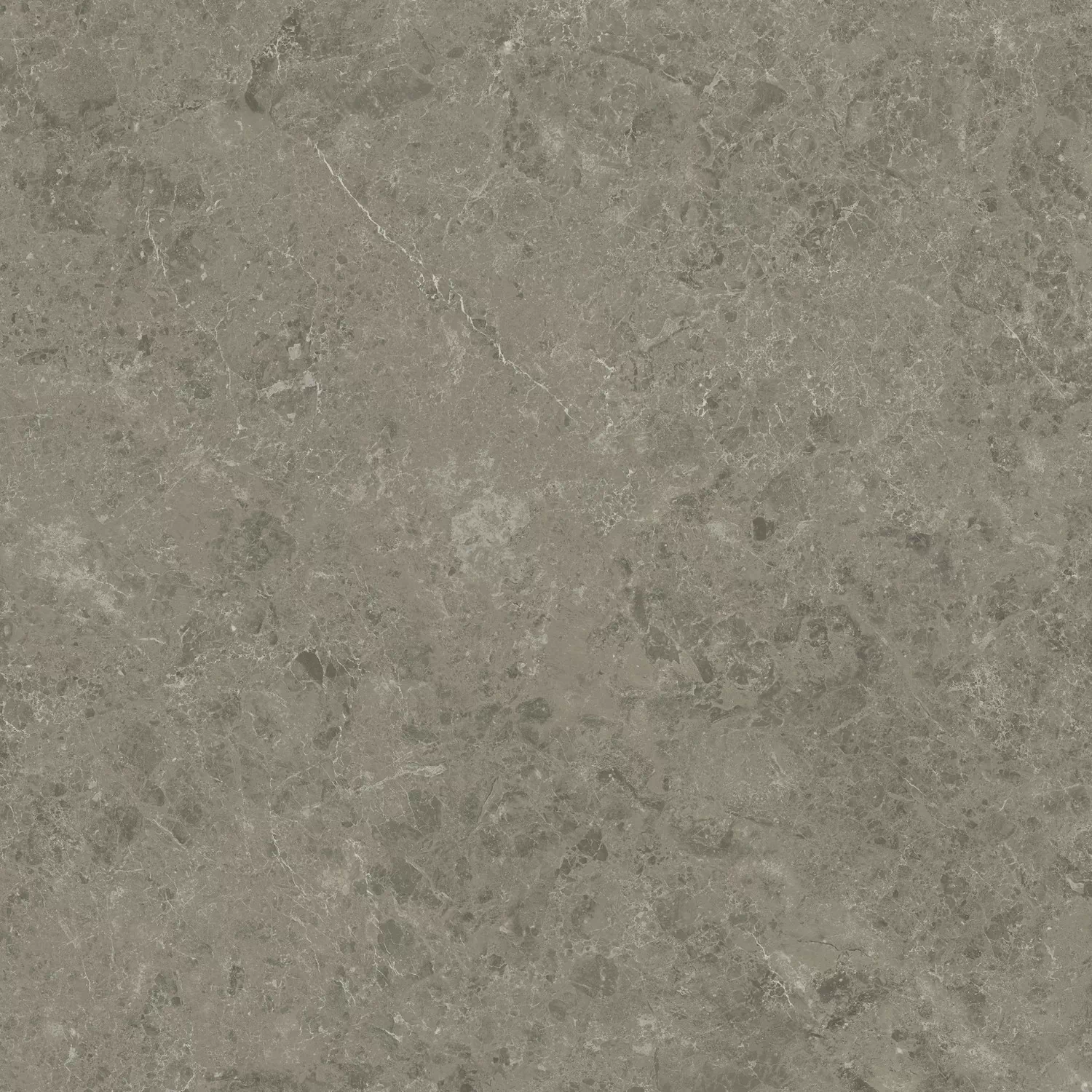 Керамогранит AJIF Marvel Meraviglia Grigio Elegante Lapp. 120x120