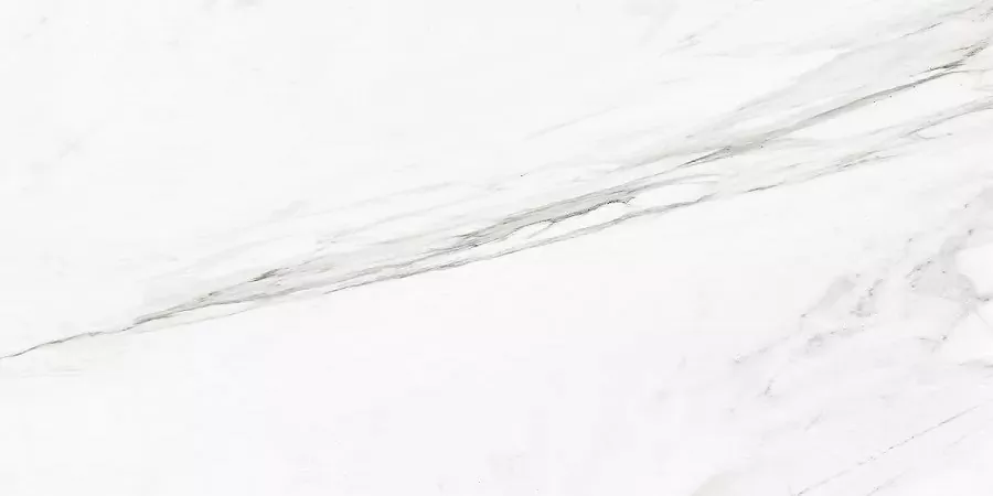 Керамогранит Callacata Silver Rect матовая 60x120