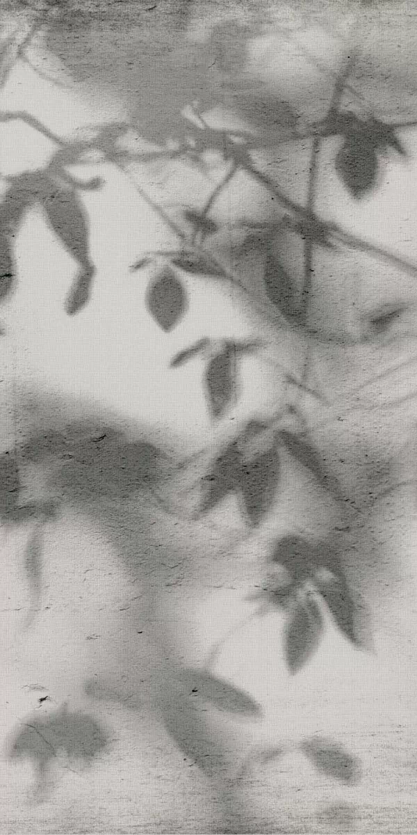 Керамогранит PF60012582 Art Walls Shadow Nat R 60x120