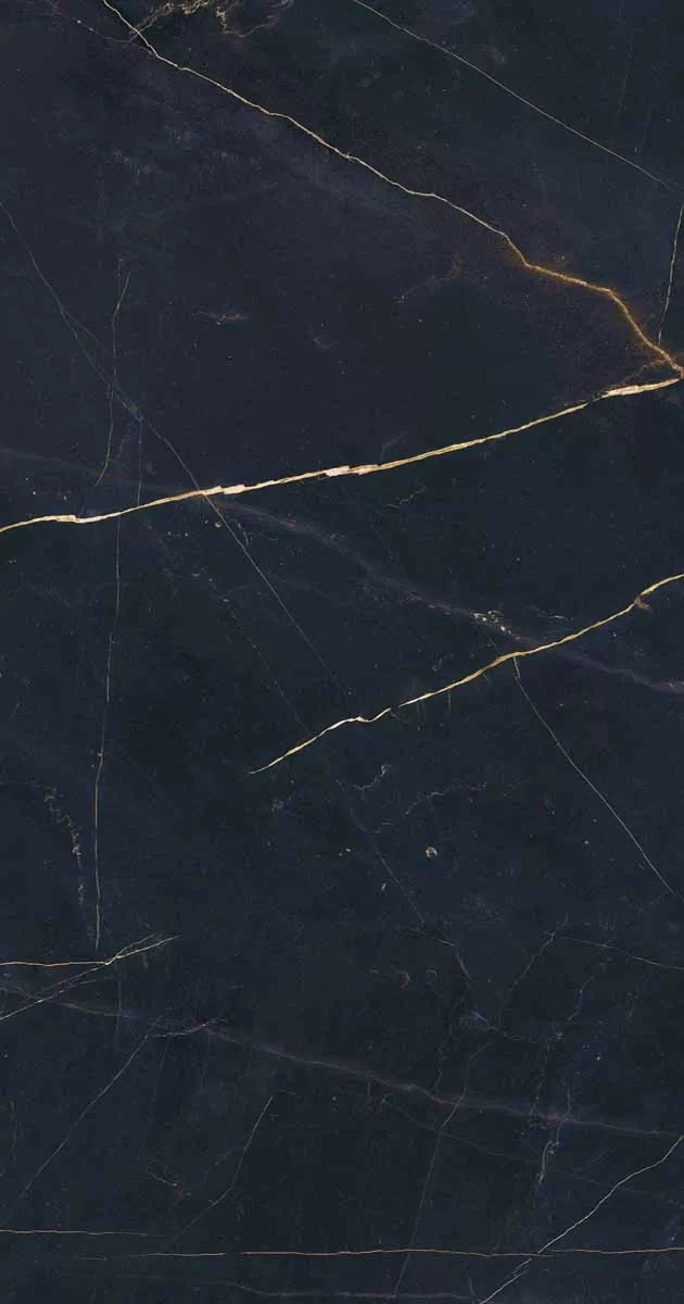 Керамогранит PF60011003 Precious Black Lux Ret 60x120