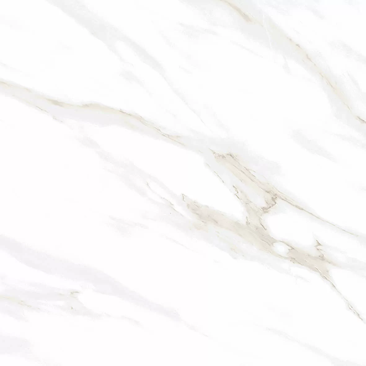 Керамогранит Calacatta Clarity Gold Белый Матовый 80х80