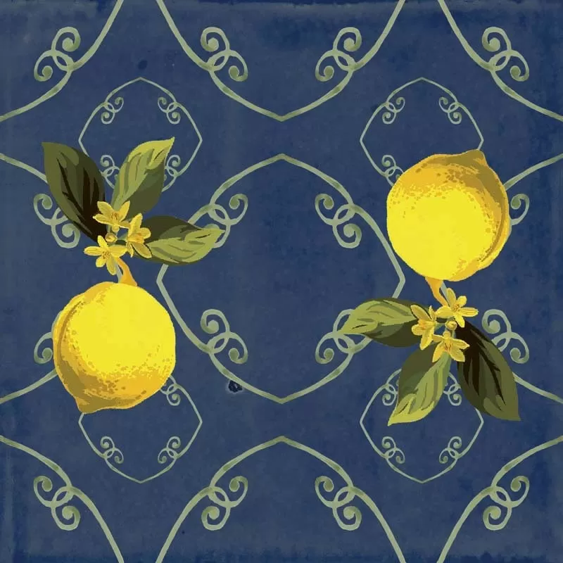 Керамогранит Giardino Blu Mix Luc 20x20