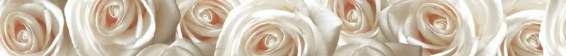 Плитка Камелия бордюр 54х500