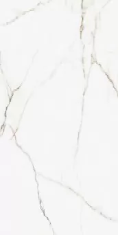 Керамогранит 00-00000245 Calcatta Montreal Polish 60х120