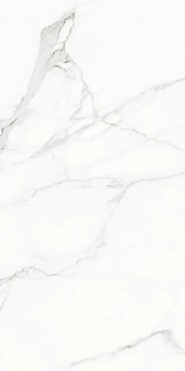 Керамогранит 120126 White Beauty Naturale Rettificato 60x120