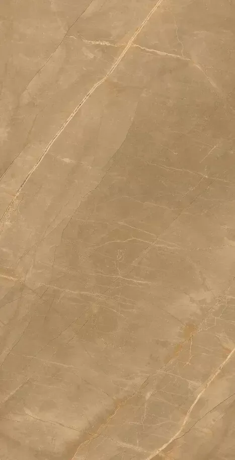 Керамогранит Eco Marble Royalish Brown 120x60