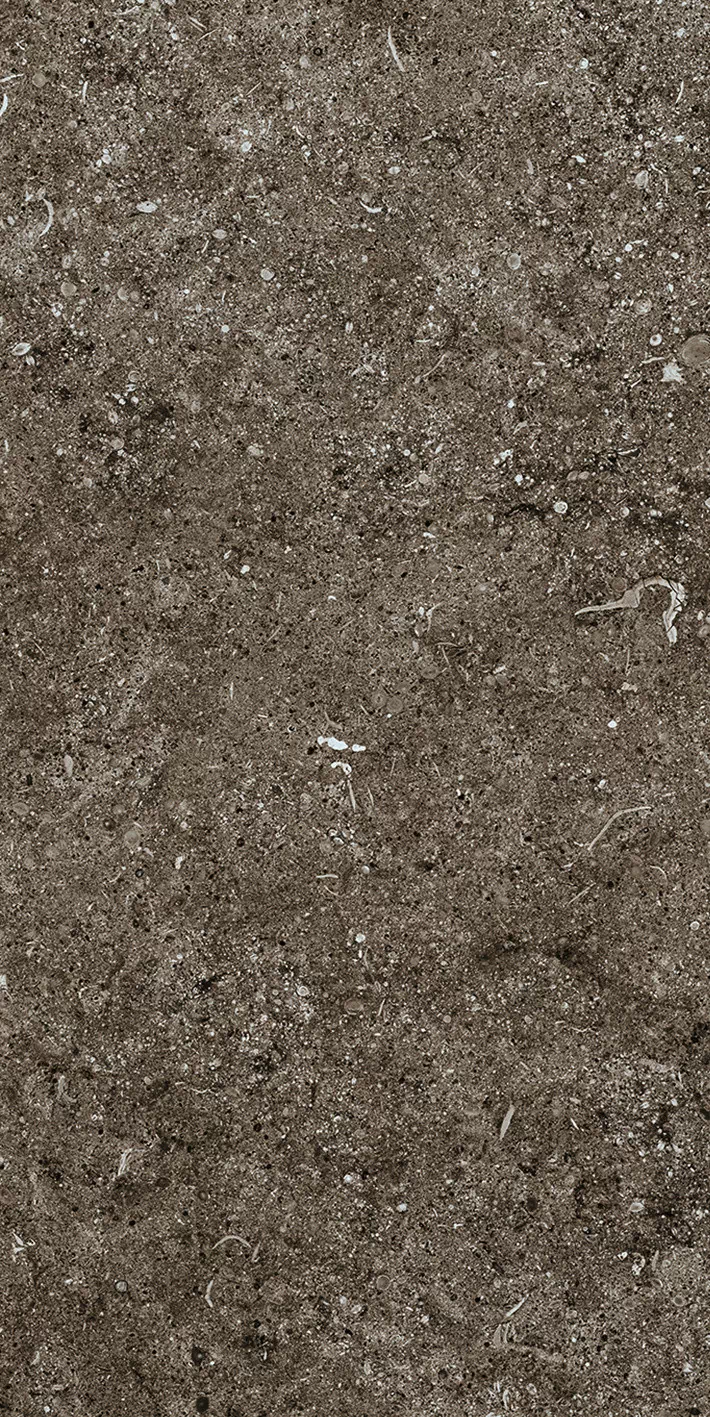 Керамогранит 768354 Sensi Brown Fossil R+PTV Ret 40x80