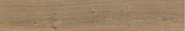 Керамогранит Oxford Brown Mat 20x120
