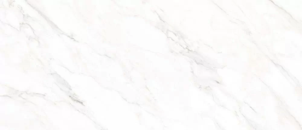Керамогранит Calacatta Michael Matt 120x278