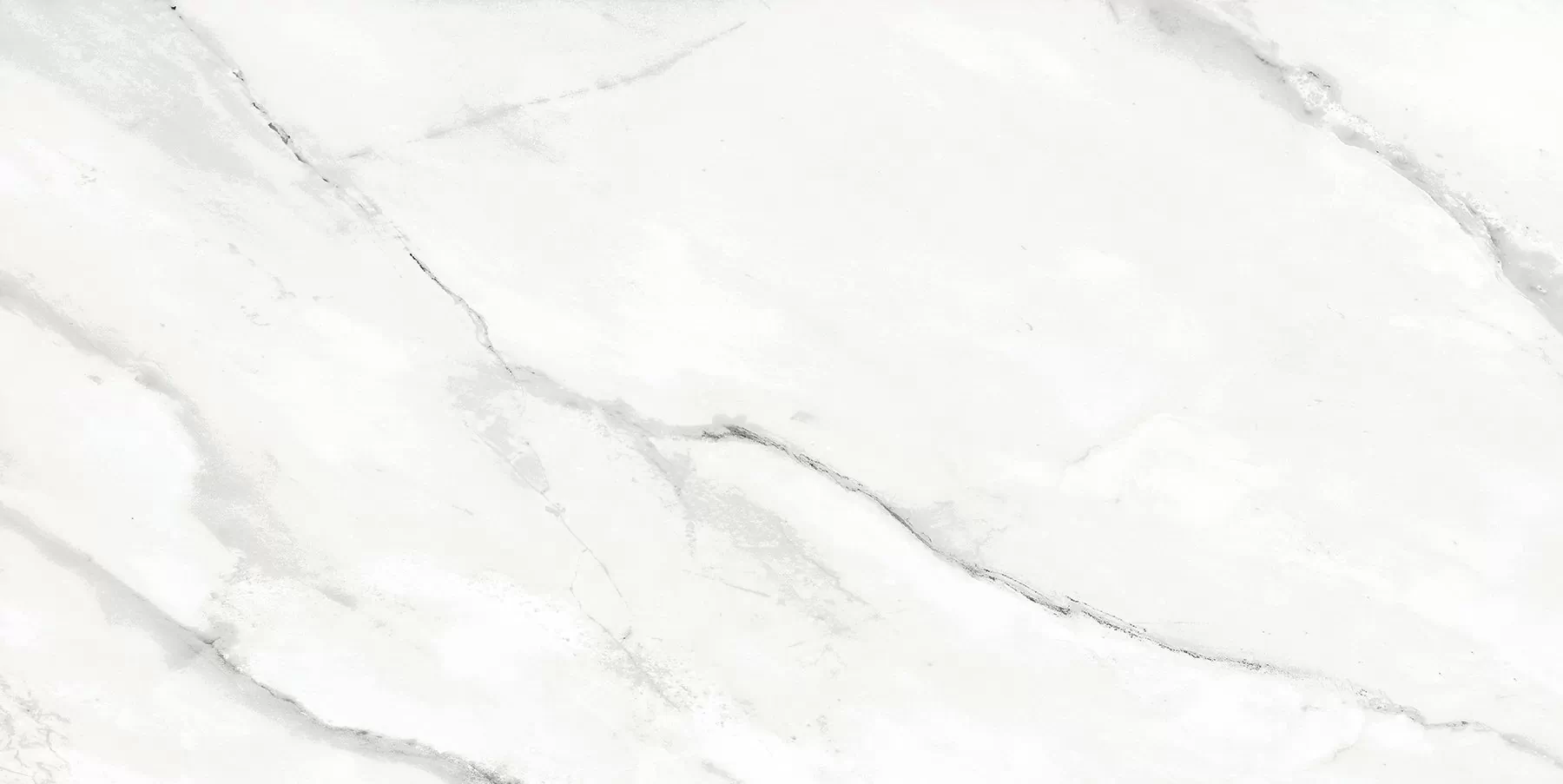 Керамогранит Bianco Avаrio PGVT 60x120