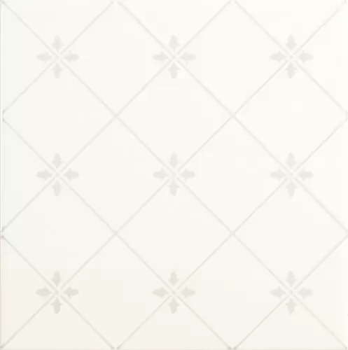 Плитка NOBLESSE DELIS BLANCO 20*20