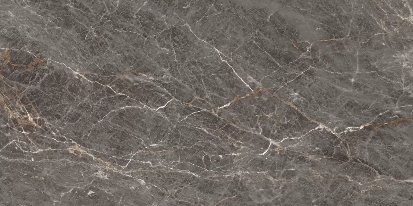 Керамогранит Istanbul Argenta 120x60