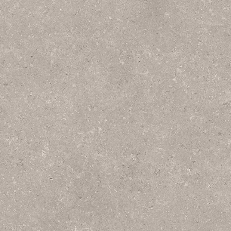 Керамогранит 100330200 Coral Topo L 80x80