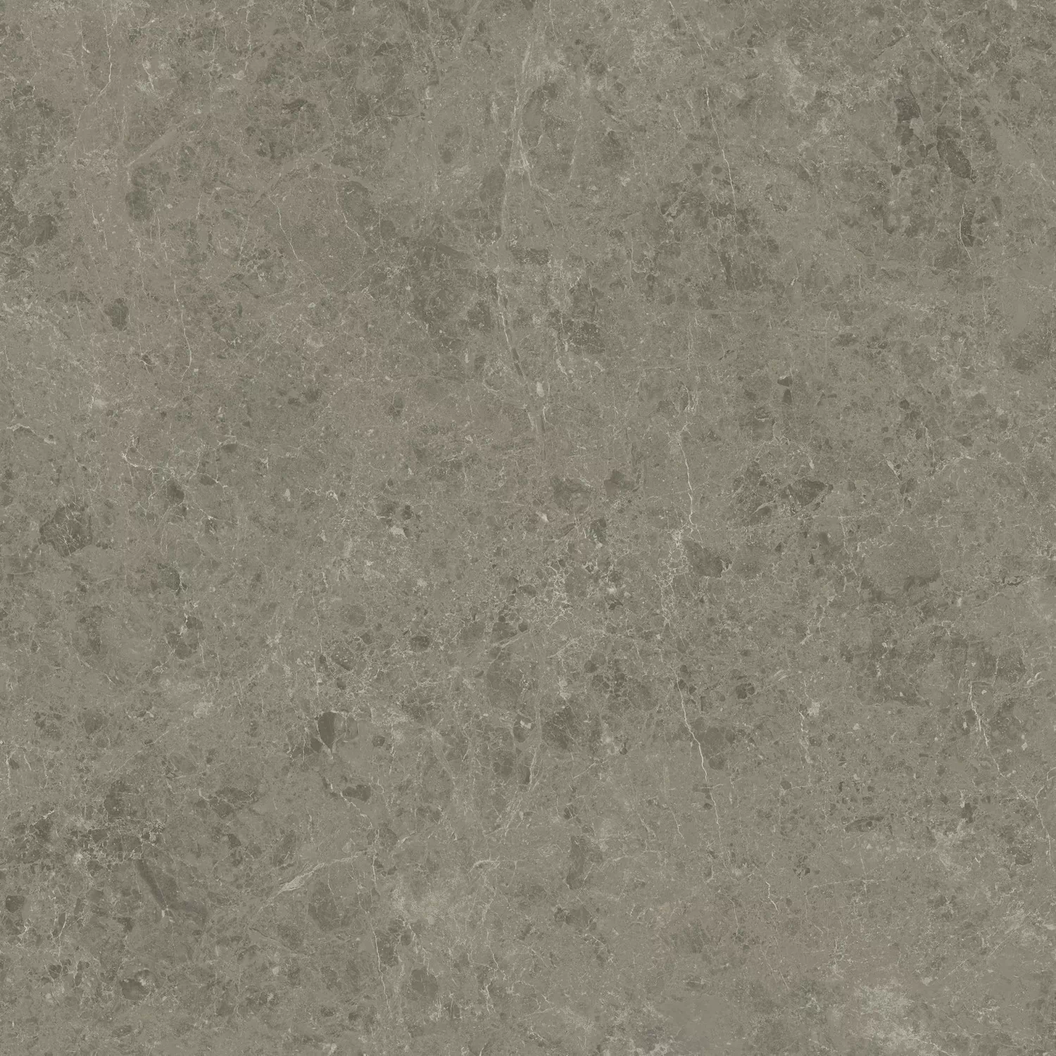 Керамогранит AJIL Marvel Meraviglia Grigio Elegante Velvet 120x120
