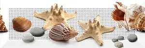 Плитка TD442 Декор Дары моря 10*30