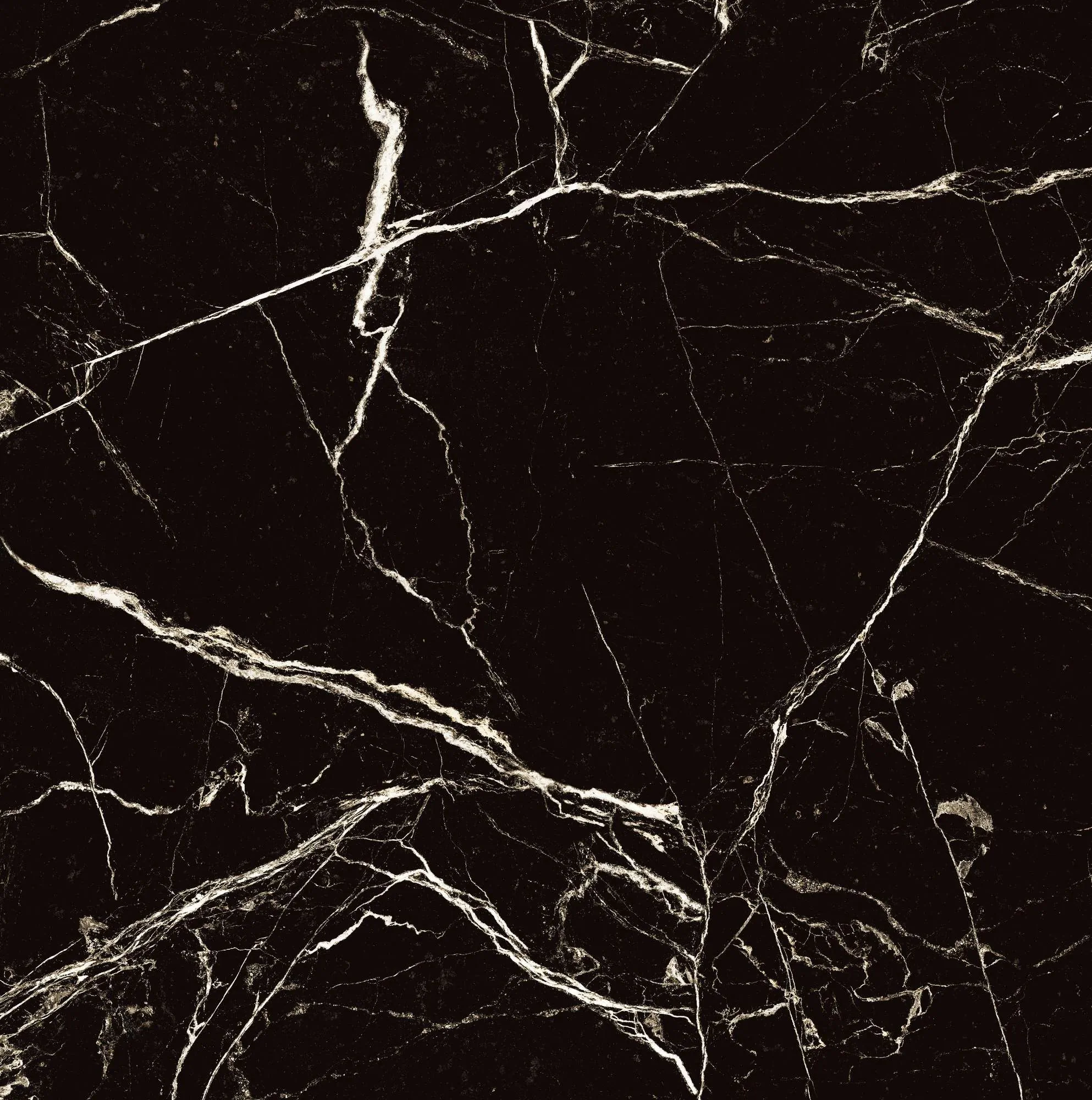 Керамогранит HG2008-A Black Spinder High Gloss 60x60