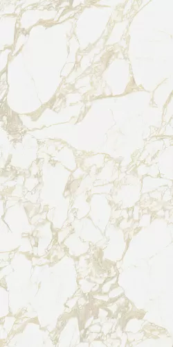 Керамогранит 4100710 Pulp Gold Raw 60x120