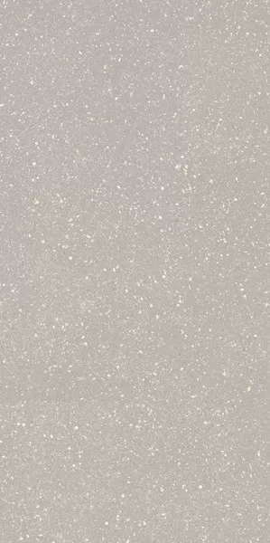Керамогранит Moondust Silver Mat 59.8x119.8