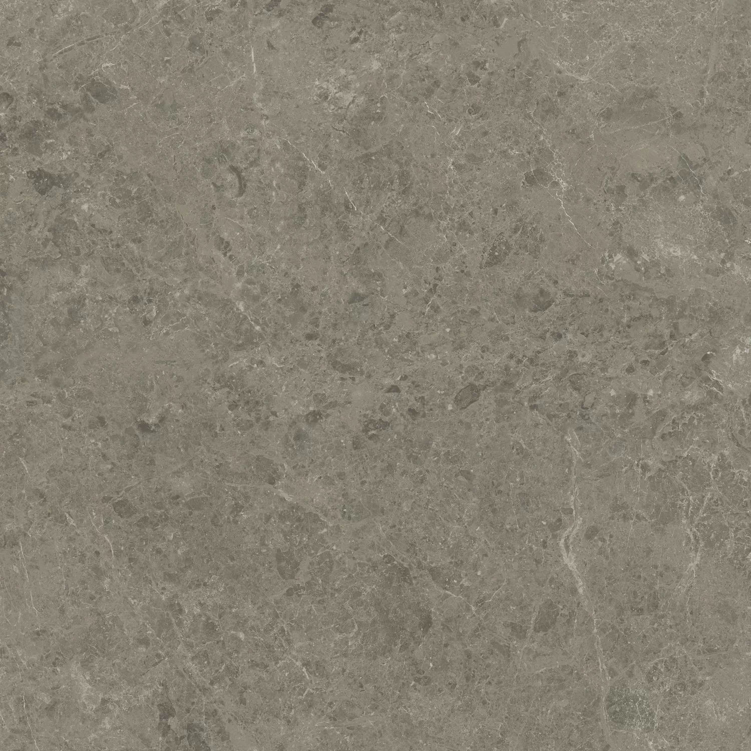 Керамогранит AJIF Marvel Meraviglia Grigio Elegante Lapp. 120x120