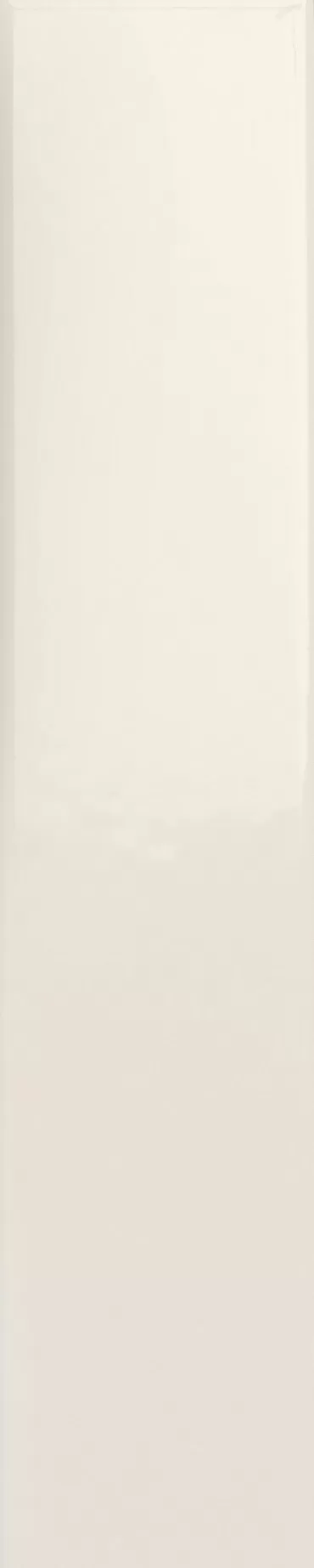 Плитка 4100720 Milk Glossy 5x25