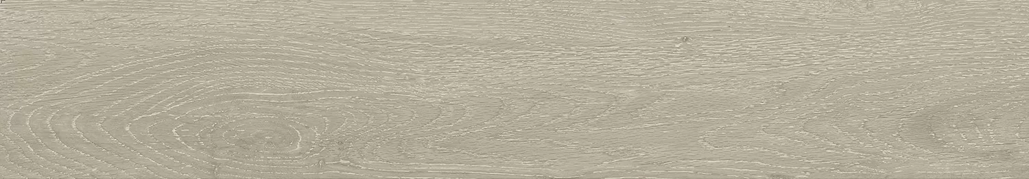 Керамогранит Forest Argent Matt 20x120